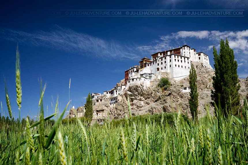 Spituk Gompa monastery, Ladakh