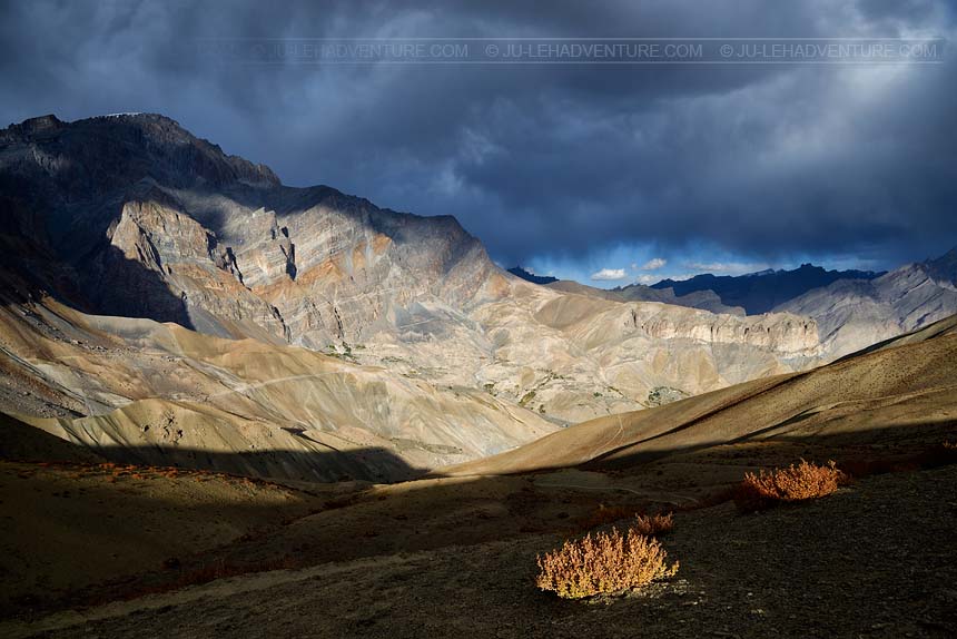 Paysahe du Zanskar, Ladakh
