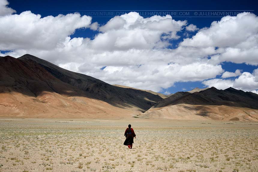 Changthang, Rumtse to Kibber trek, Ladakh