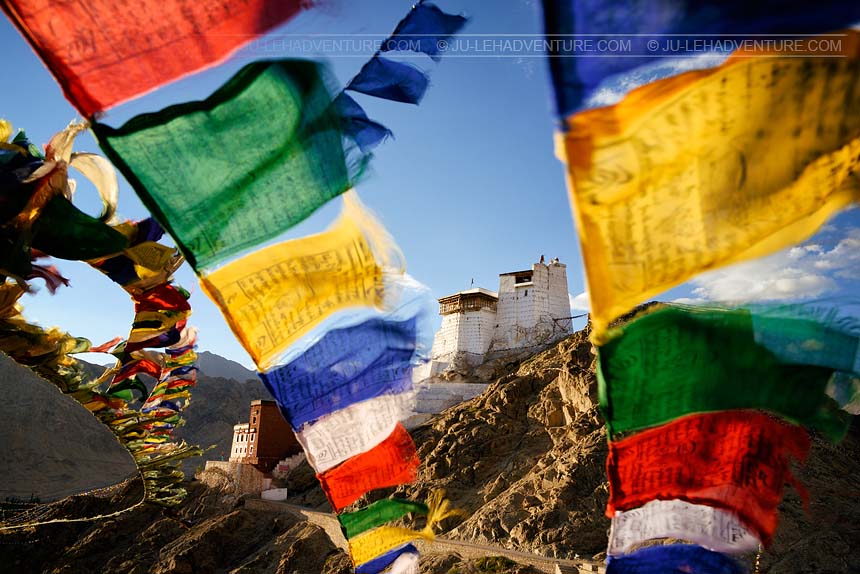Namgyal Tsemo Gompa et drapeaux de prières, monastère à Leh, Ladakh