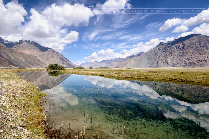 Nubra, also called Dumra, is a historical region of Ladakh, Leh