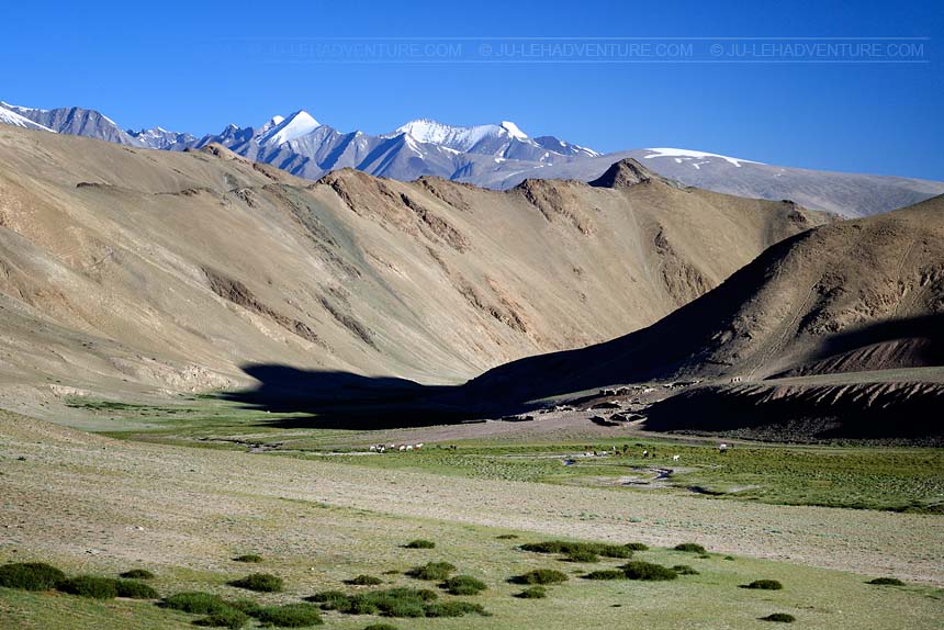 Rumtse to Tso Moriri trek, Kyamar area, Ladakh