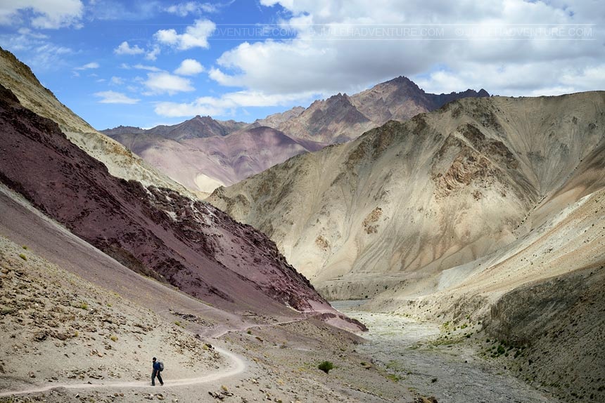 Trek dans le parc national d'Hemis, Ladakh