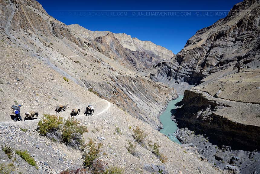 Trek in Zanskar, Ladakh
