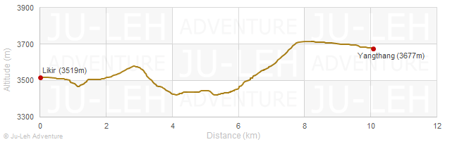 Likir - Yangthang