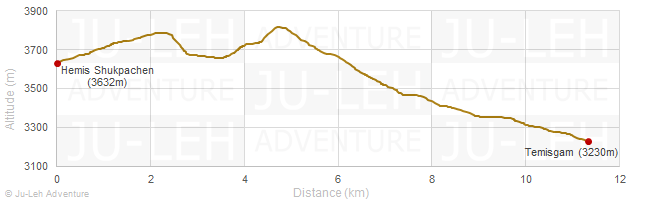 Hemis Shukpachen - Temisgam
